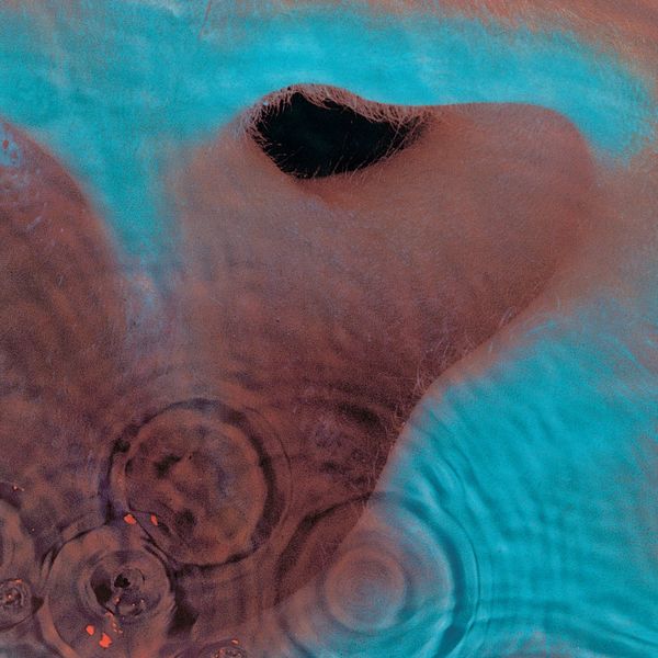 Pink Floyd - Meddle (1971/2021) [Official Digital Download 24bit/192kHz]