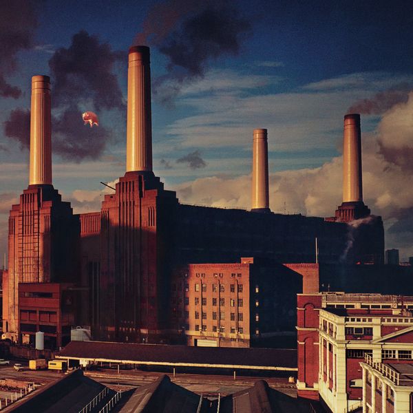 Pink Floyd – Animals (1977/2021) [Official Digital Download 24bit/192kHz]