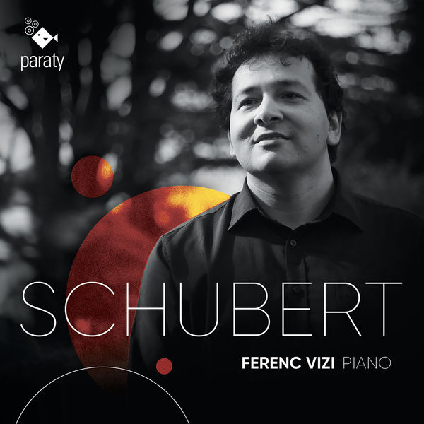 Ferenc Vizi – Schubert (2021) [FLAC 24bit/96kHz]