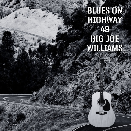 Big Joe Williams – Blues On Highway 49 (1962/2021) Hi-Res