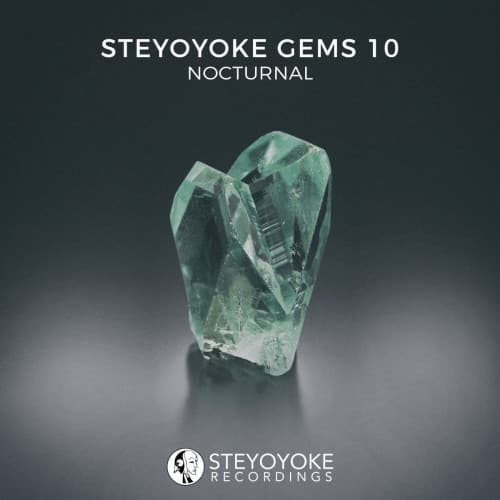 Various Artists – Steyoyoke Gems Nocturnal 10 (2021) [FLAC]