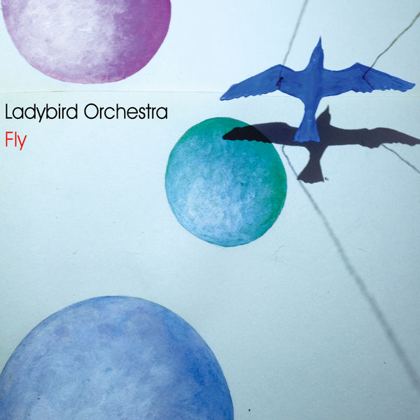Ladybird Orchestra – Fly (2021) [FLAC 24bit/44,1kHz]