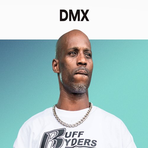 DMX.jpg