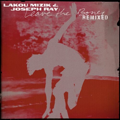 Lakou-Mizik---Leave-the-Bones-Remixed.jpg