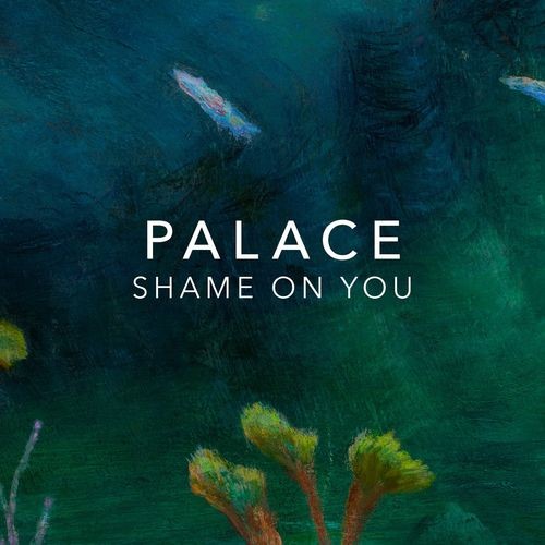 Palace---Shame-On-You.jpg
