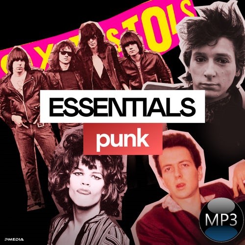 Punk-Essentials.jpg