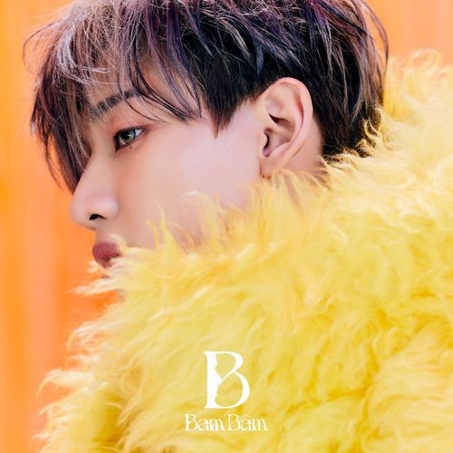 BamBam---B.jpg