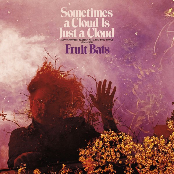 Fruit Bats - Sometimes a Cloud Is Just a Cloud: Slow Growers, Sleeper Hits and Lost Songs (2001–2021) (2022) 24bit FLAC Download