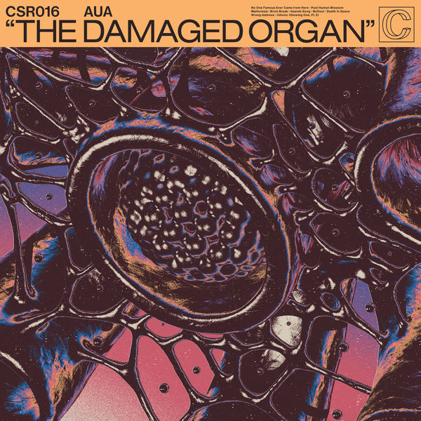 Aua – The Damaged Organ (2022) [FLAC 24bit/88,2kHz]