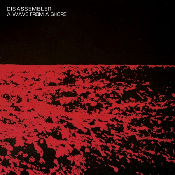 Disassembler - A Wave From A Shore (2022) 24bit FLAC Download