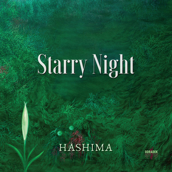 Hashima – Starry Night (2021) [FLAC 24bit/88,2kHz]
