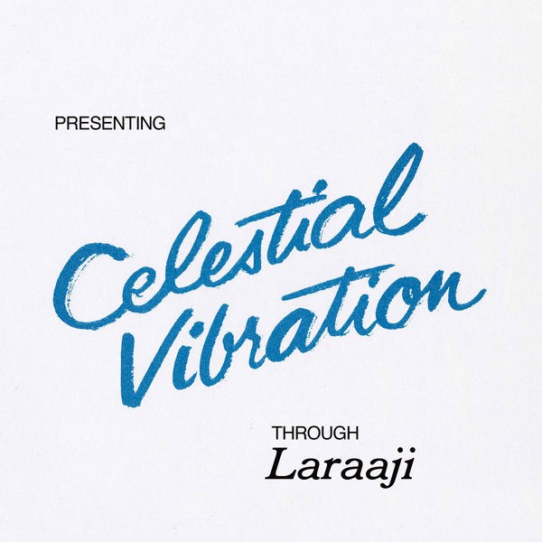 Laraaji - Celestial Vibration (Remastered) (2022) 24bit FLAC Download