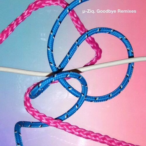 Ziq---Goodbye-Remixes.jpg