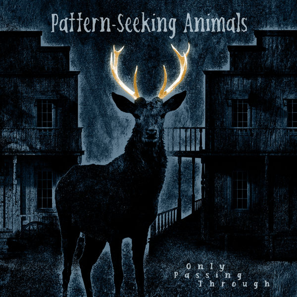 Pattern-Seeking Animals – Only Passing Through (2022) [Official Digital Download 24bit/96kHz]