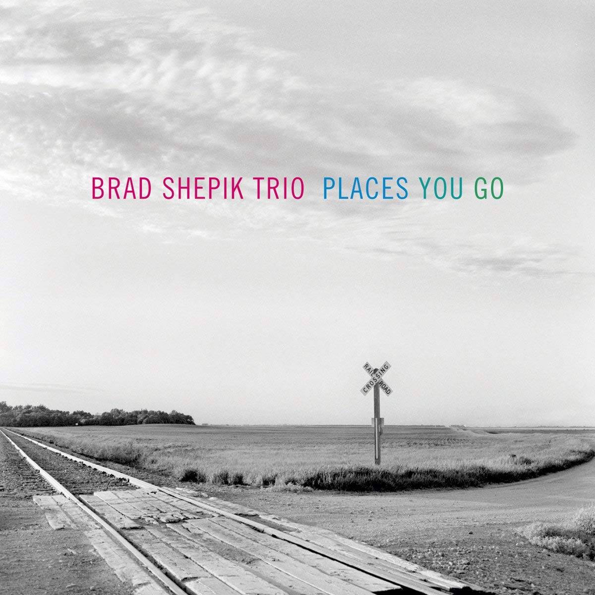 Brad Shepik Trio – Places You Go (2007) MCH SACD ISO + DSF DSD64 + FLAC 24bit/44,1kHz