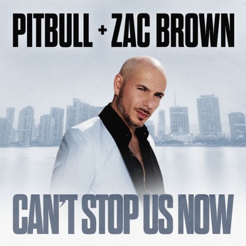 Pitbull – Can’t Stop Us Now (2022) [FLAC]