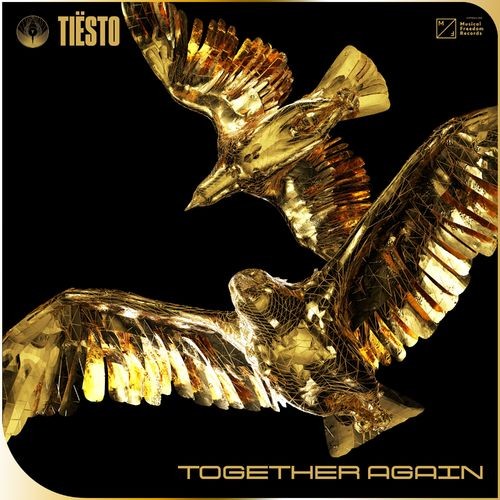 Tiesto---Together-Again5d30c863cbf51adf.jpg