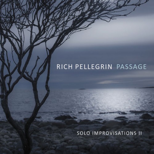 Rich Pellegrin – Passage: Solo Improvisations II (2022) [FLAC 24bit, 96 kHz]