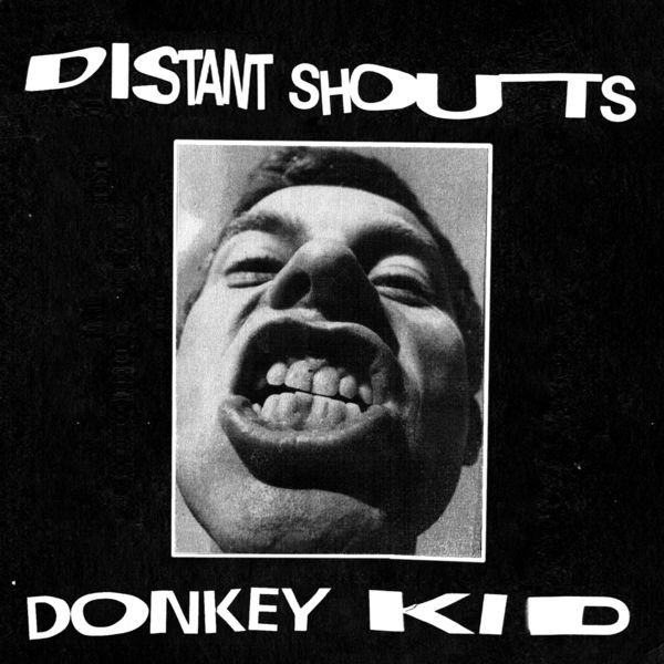 Donkey Kid - Distant Shouts (2022) 24bit FLAC Download