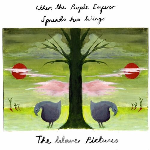 The Wave Pictures – When The Purple Emperor Spreads His Wings (2022) MP3 320kbps