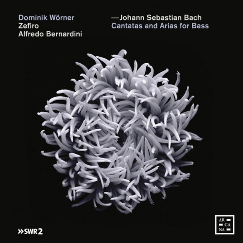 Dominik Wörner, Zefiro, Alfredo Bernardini – Bach: Cantatas and Arias for Bass (2019) [24bit FLAC]
