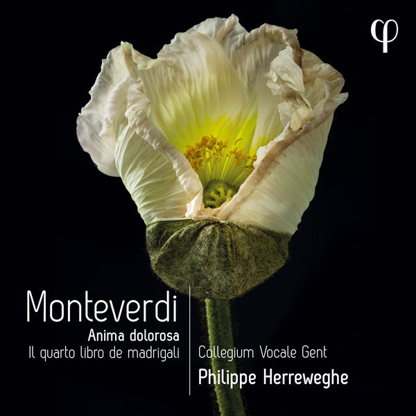 Collegium Vocale Gent, Philippe Herreweghe - Monteverdi: Il quarto libro de madrigali (2022) [FLAC 24bit/96kHz]