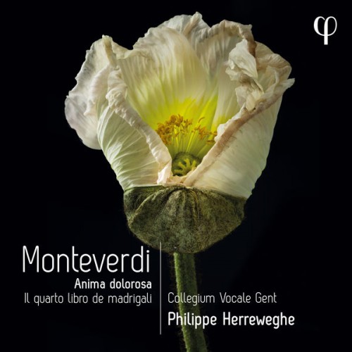 Collegium Vocale Gent, Philippe Herreweghe – Monteverdi: Il quarto libro de madrigali (2022) [FLAC 24bit, 96 kHz]