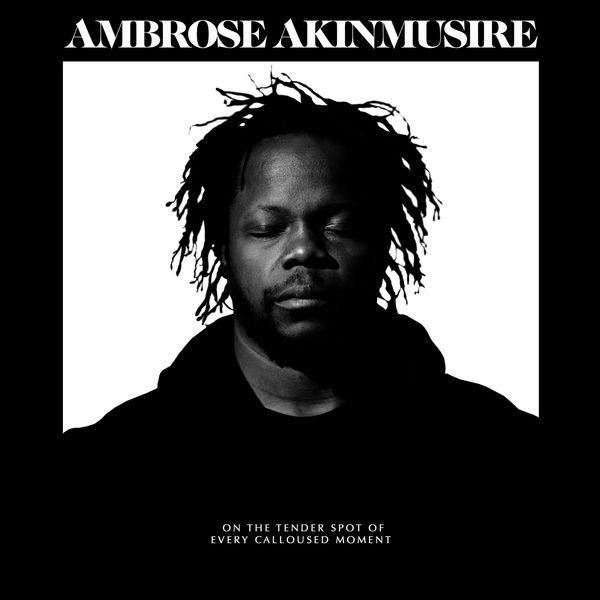 Ambrose Akinmusire – On The Tender Spot Of Every Calloused Moment (2020) [Official Digital Download 24bit/96kHz]