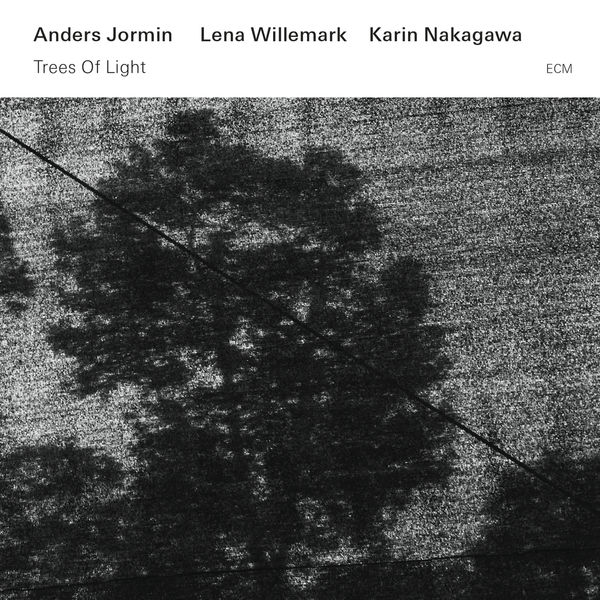 Anders Jormin, Lena Willemark, Karin Nakagawa – Trees Of Light (2015) [Official Digital Download 24bit/44,1kHz]