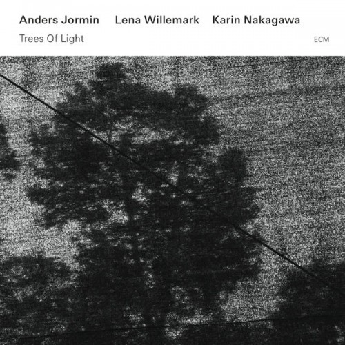 Anders Jormin, Lena Willemark, Karin Nakagawa – Trees Of Light (2015) [FLAC 24bit, 44,1 kHz]