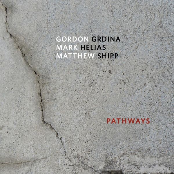 Gordon Grdina Mark Helias Matthew Shipp – Pathways (2022) 24bit FLAC