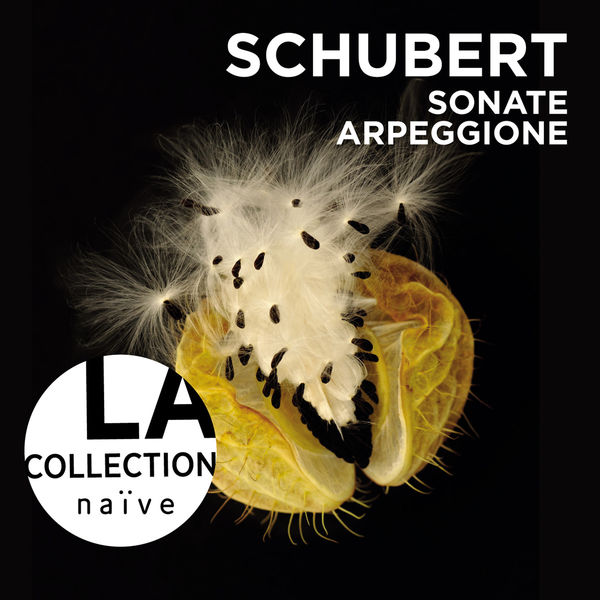Anne Gastinel, Claire Désert – Schubert: Sonate Arpeggione (2013) [Official Digital Download 24bit/44,1kHz]