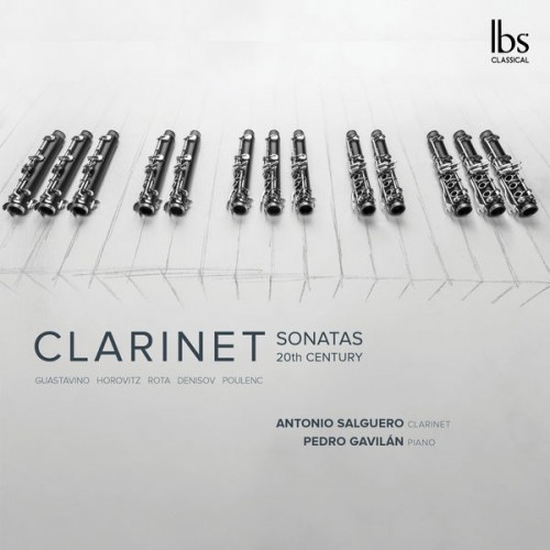 Antonio Salguero, Pedro Gavilán – Clarinet Sonatas 20th Century (2018) [FLAC 24bit, 96 kHz]