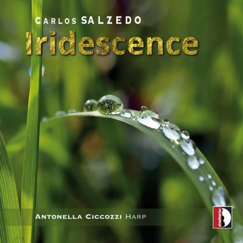 Antonella Ciccozzi – Iridescence (2021) [FLAC 24bit, 88,2 kHz]