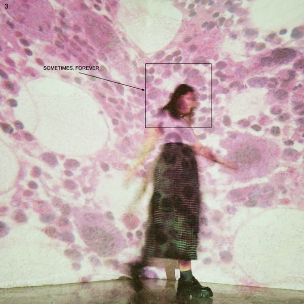 Soccer Mommy - Sometimes, Forever (2022) 24bit FLAC Download