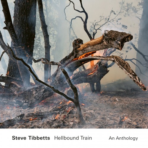 Steve Tibbetts - Hellbound Train: An Anthology (2022) MP3 320kbps Download