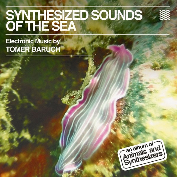 Tomer Baruch - Synthesized Sounds of the Sea (2022) FLAC Download