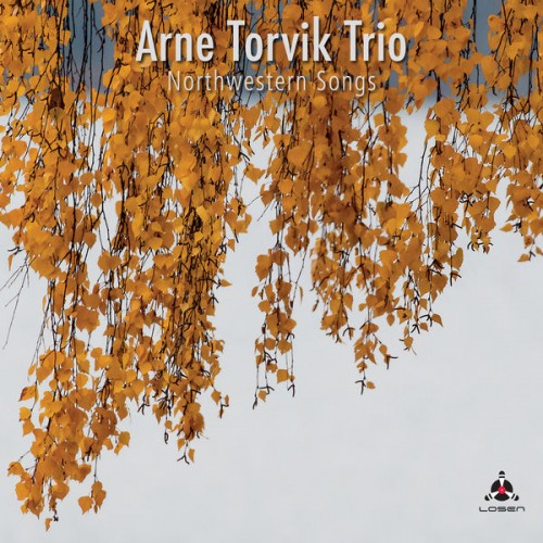 Arne Torvik Trio – Northwestern Songs (2021) [FLAC 24bit, 48 kHz]