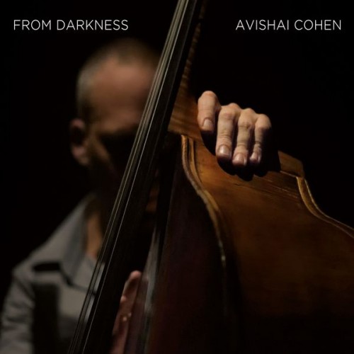 Avishai Cohen Trio, Avishai Cohen – From Darkness (2015) [FLAC 24bit, 96 kHz]