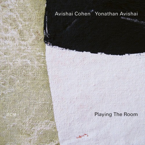 Avishai Cohen, Yonathan Avishai – Playing The Room (2019) [FLAC 24bit, 96 kHz]