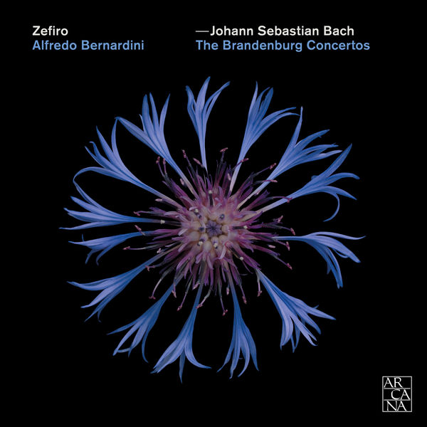 Zefiro & Alfredo Bernardini – Bach: The Brandenburg Concertos (2018) [Official Digital Download 24bit/96kHz]