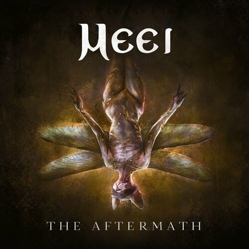 Meei - The Aftermath (2022) MP3 320kbps Download