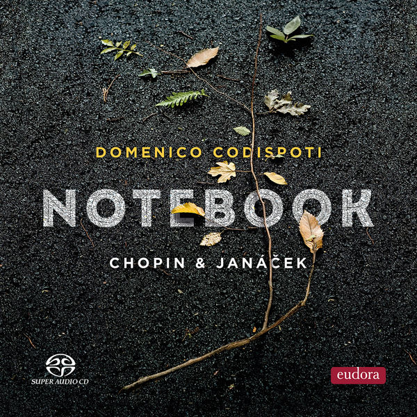 Domenico Codispoti - Notebook (2022) [FLAC 24bit/192kHz] Download