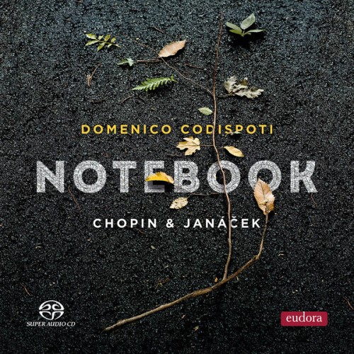 Domenico Codispoti – Notebook (2022) [FLAC 24bit, 192 kHz]
