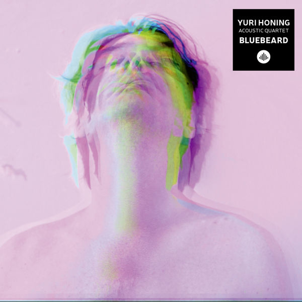 Yuri Honing Acoustic Quartet – Bluebeard (2020) [Official Digital Download 24bit/96kHz]