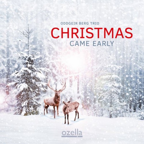 👍 Oddgeir Berg Trio – Christmas Came Early (2021) [24bit FLAC]