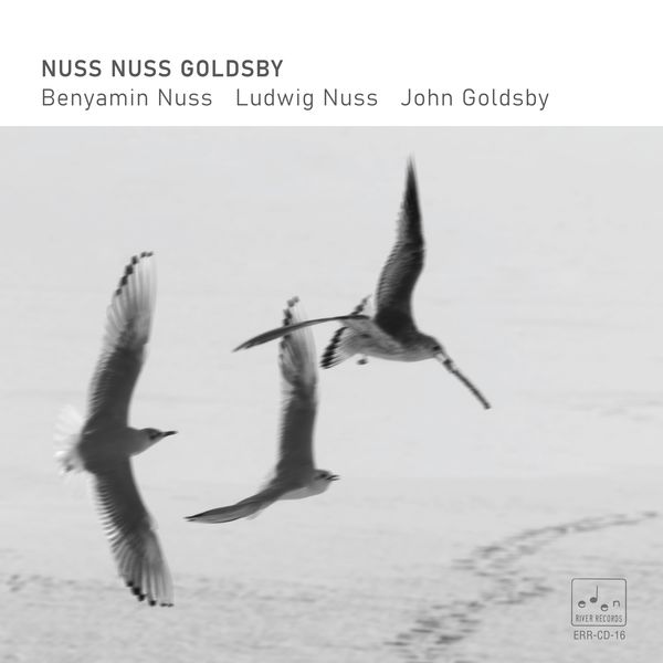 Benyamin Nuss,Ludwig Nuss, John Goldsby - Nuss Nuss Goldsby (2022) [FLAC 24bit/96kHz]