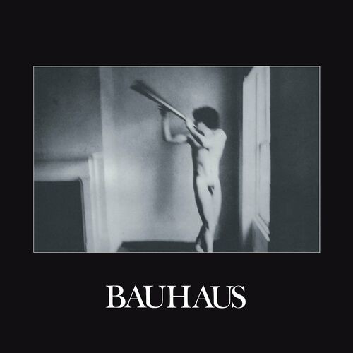 Bauhaus – In the Flat Field (2022) MP3 320kbps