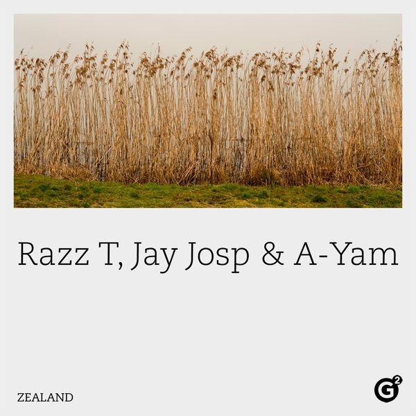 Razz T - Zealand (2022) 24bit FLAC Download