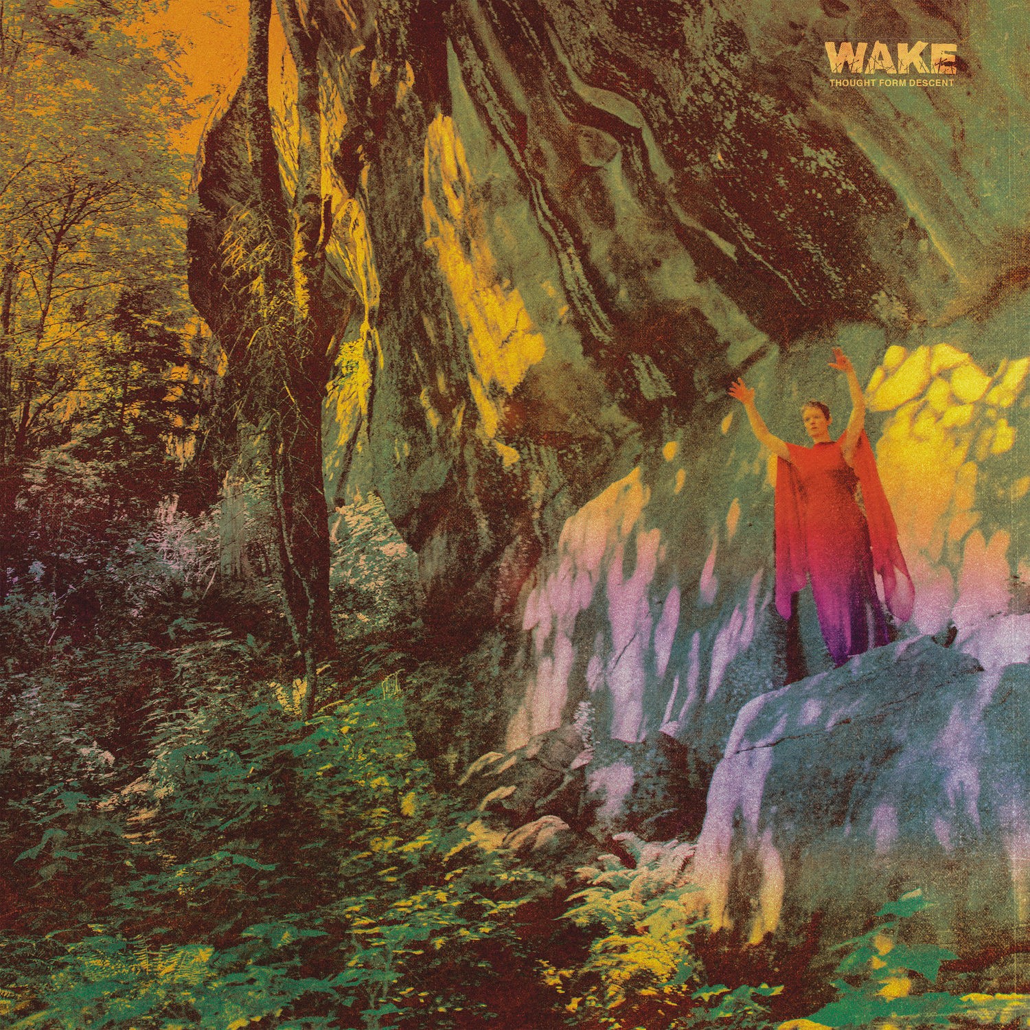 Wake – Thought Form Descent (2022) 24bit FLAC